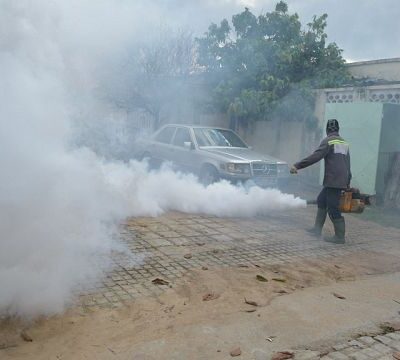 Chad: outbreak of a dengue “epidemic” in the east (health minister)