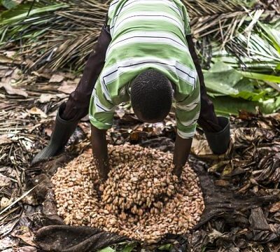 DRC: Business leaders and politicians call for agricultural development