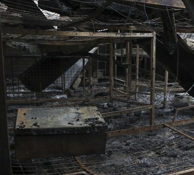 Tourists killed in Uganda: captured ADF leader also accused of school massacre