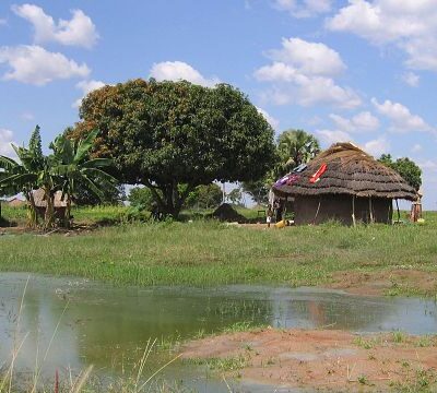 Uganda: Refugees in Nakivale one of Africa’s oldest settlements replant lost forests