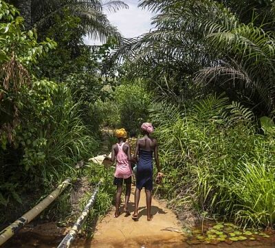 DRC: concern over the potential development of oil drilling