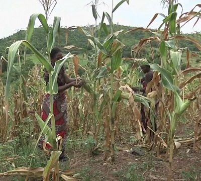 IMF to assess impact of drought on Zambia’s economy