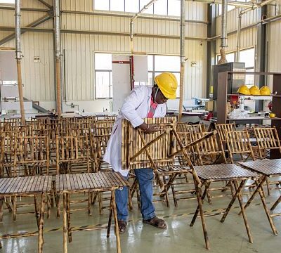 Bamboo farming in Uganda on the rise as gov’t seeks to increase export