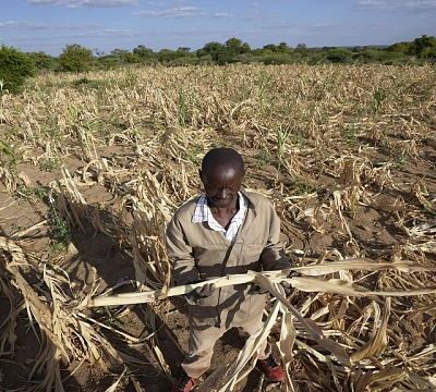 Severe drought and famine in southern Africa leaves some 20 million facing hunger