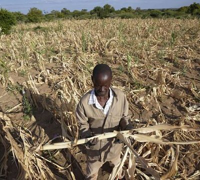 We are working on ways to support drought-hit African countries
