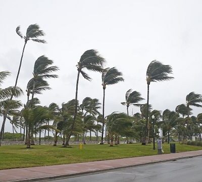 SA: Extreme winds and rainfall wreak havoc across coastal province, killing at least 1