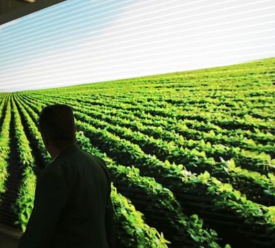 Agriculture fair opens in drought-hit Morocco with focus on sustainability