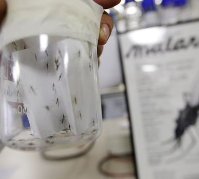 Africa: New study suggests climate change could mean declining malaria risk