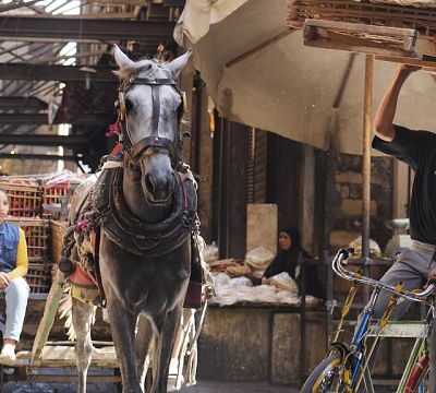 Pics of the day: June 7, 2024