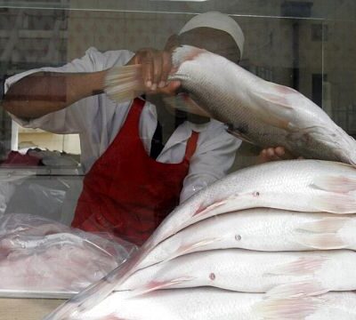 Fish stocks dwindle in Lake Victoria amid high demand from Asia