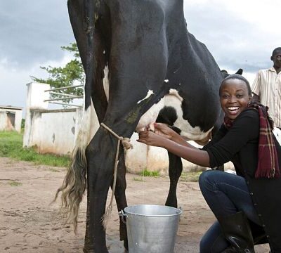 $35 million investment to boost food security in East Africa