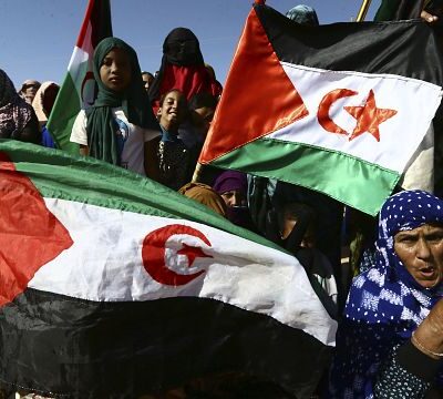 France shifts Western Sahara stance, seeking closer ties with Morocco