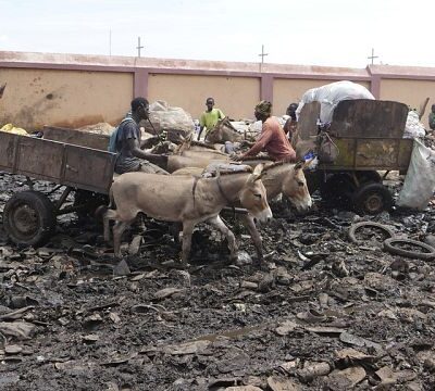 Donkey carts used to collect household garbage in Bamako