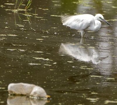 Egyptian start-up turns plastic waste into tiles