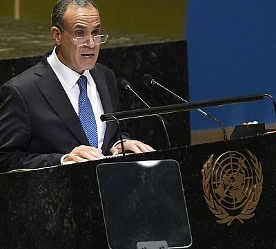 Egypt demands permanent seats for Africa, Arab States at UN Security Council