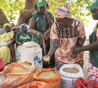 Women entrepreneurs face financing hurdles in agriculture, FAO program offers solutions