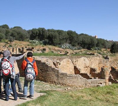 Morocco exhibition shows treasures of ancient port city of Chellah