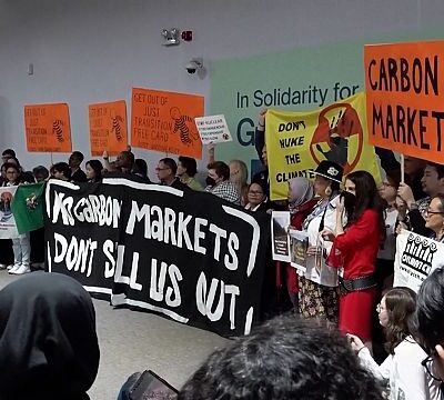 COP29 carbon credit debate sparks backlash from activists