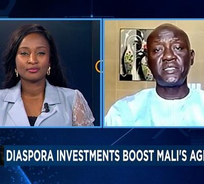 Driving Change: Diaspora Investments, Urban Farming, and Tourism Growth in Africa {Business Africa}