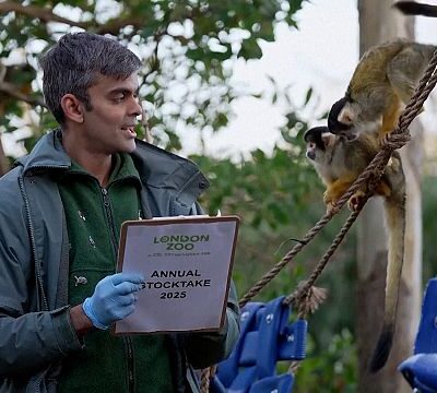 London Zoo caries out census of its huge population