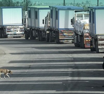 Aid trucks at Rafah wait for green light to enter Gaza as ceasefire begins