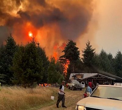 Wildfires devastate Patagonia’s forests, threatening El Bolsón