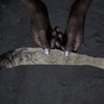 Mystical beliefs are fueling Senegal’s illegal big cat trade