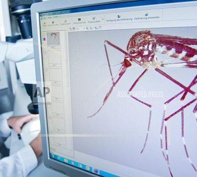 Genetic Modification of Mosquitos: A Potential Breakthrough in the Fight Against Malaria