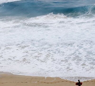 Ocean carbon solutions face growth and environmental challenges