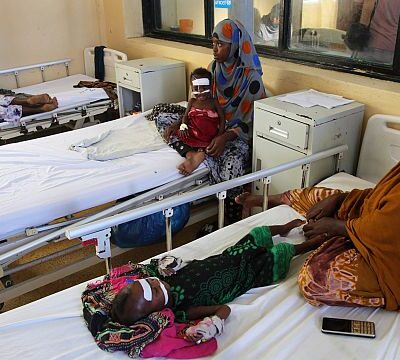 Global hunger worsened in 2024, affecting 295 mln people: UN report