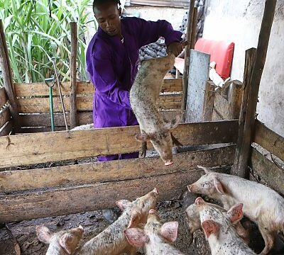 They once lived the ‘gangster life.’ Now they tackle food insecurity in Kenya’s slums