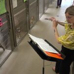 Animal shelters in the US use live music to soothe anxious pets