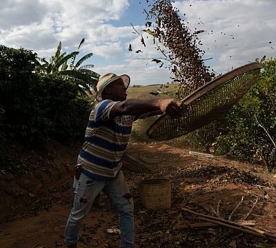 Trump’s tariffs threat leaves Brazilian coffee producers in the dark