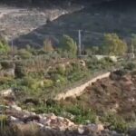Moroccan humanitarian agency provides support for Palestinian farmers