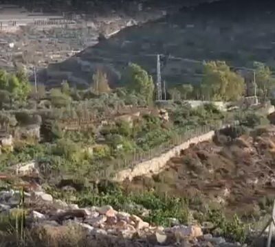 Moroccan humanitarian agency provides support for Palestinian farmers