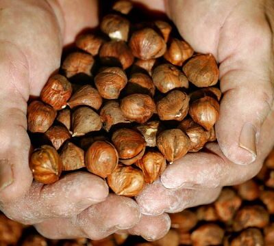 Nigeria bans raw shea nut exports to boost local industry