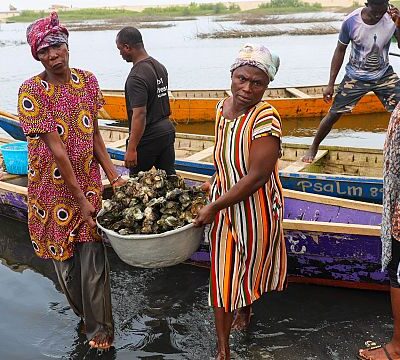 Ghana’s women struggle to save oyster farming hit by climate change
