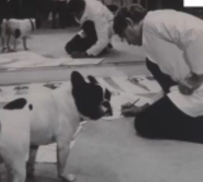 New exhibition celebrates Yves Saint Laurent’s love of dogs