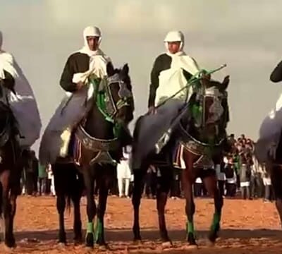 An equestrian festival in a western Libyan city goes international