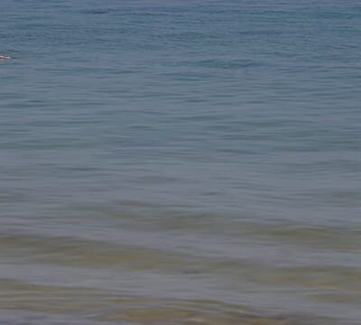 Tunisia: Swimmers celebrate New Year with plunge in cold sea