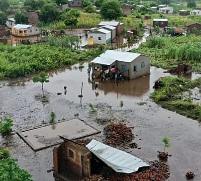 Mozambique: crocodiles appear in towns amid floods
