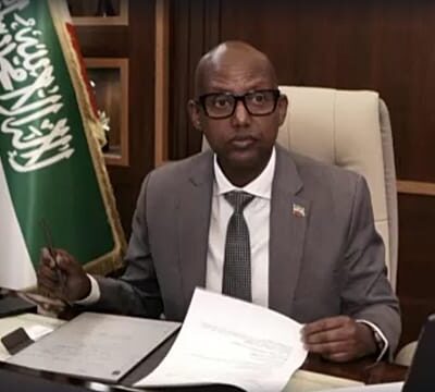 Somaliland offers US access to minerals as it pushes for recognition