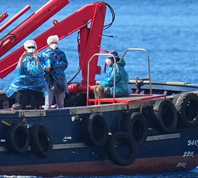 Hantavirus: First passengers disembark stricken cruise ship