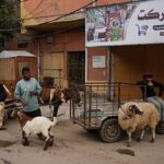 Gaza’s displaced brace for a bleak Eid al‑Adha amid war and soaring prices