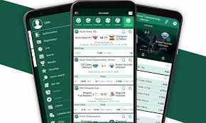 Discovering the BetWinner APK File Your Gateway to Online Betting